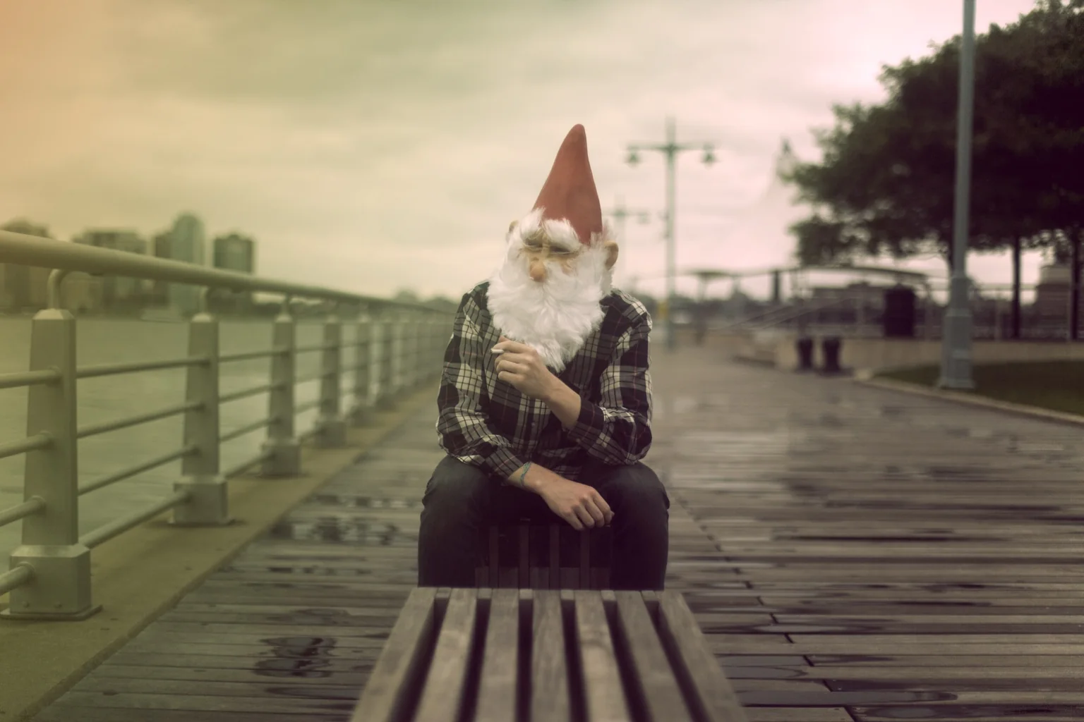 Mr. Murphy sentado en un muelle