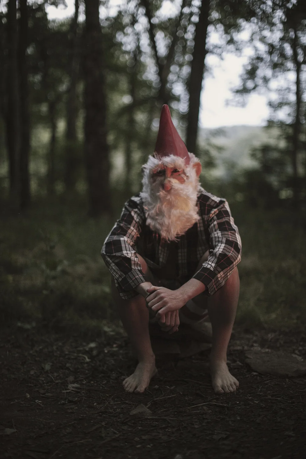 Retrato de Mr. Murphy en el bosque